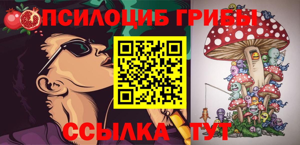 Прохладный  Псилоцибиновые грибы мухоморы  Вход с VPN 