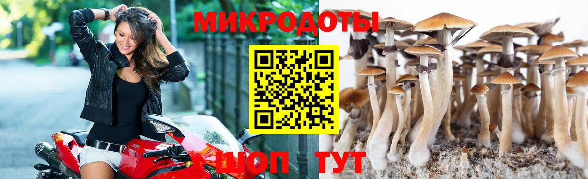 Псилоцибиновые грибы прущие грибы Прохладный