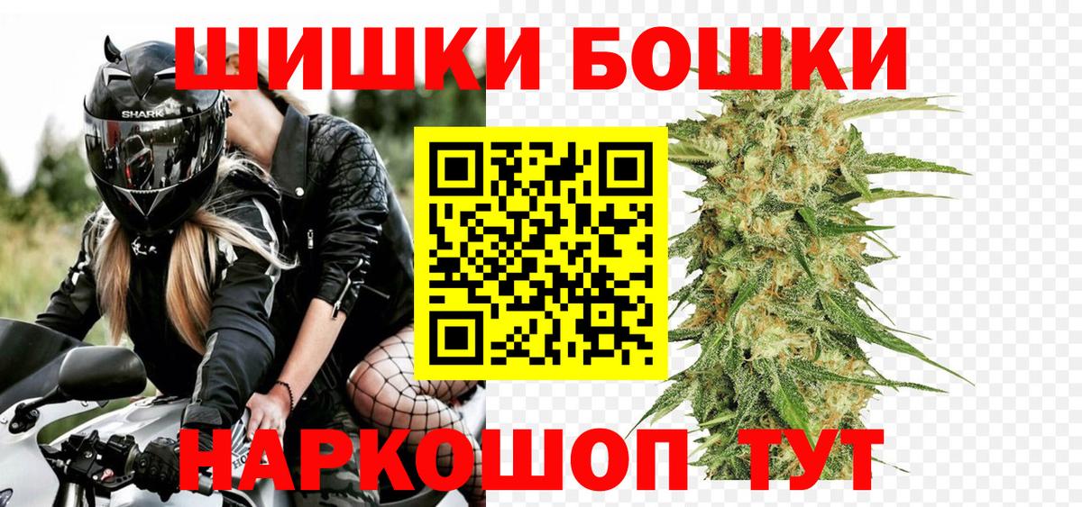 Каннабис сатива Прохладный